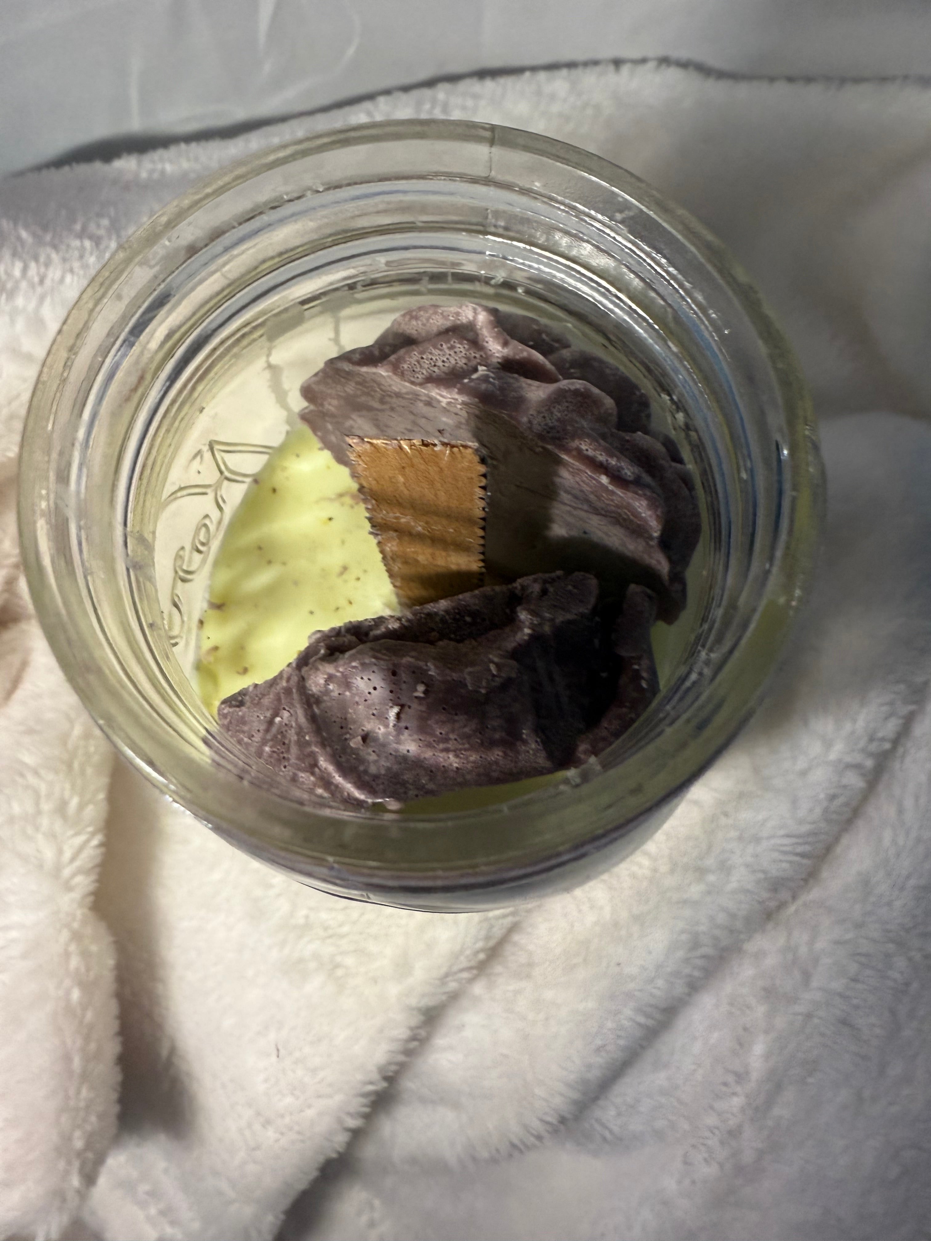 The Coffee Roses of Haven